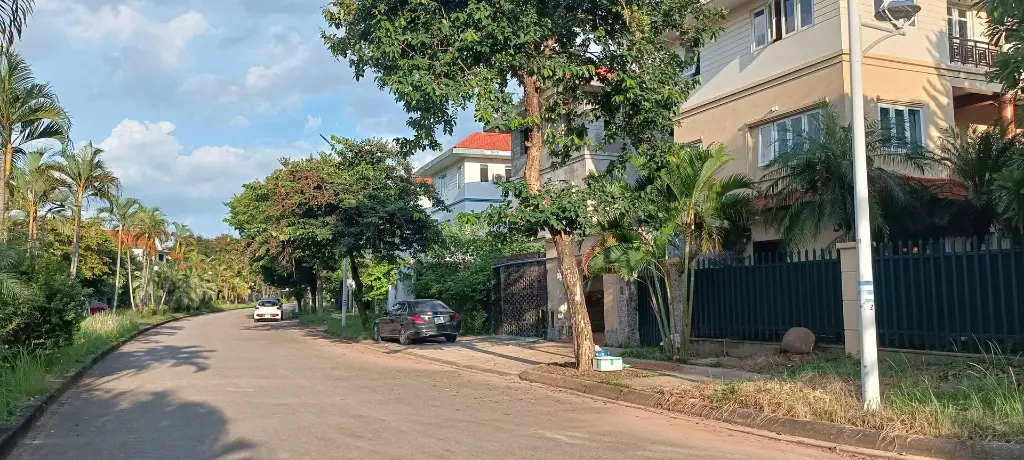 duong cong - Copy.webp